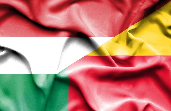 Flagge von Benin und Ungarn schwenkend — Stockfoto