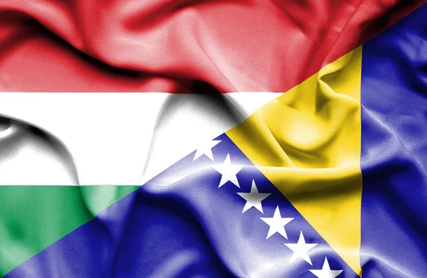 Wapperende vlag van Bosnië en Herzegovina en Hongarije — Stockfoto