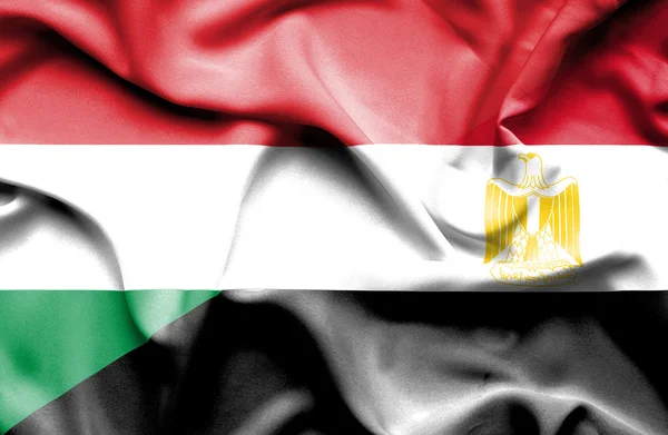 Flagge Ägyptens und Ungarns schwenkend — Stockfoto