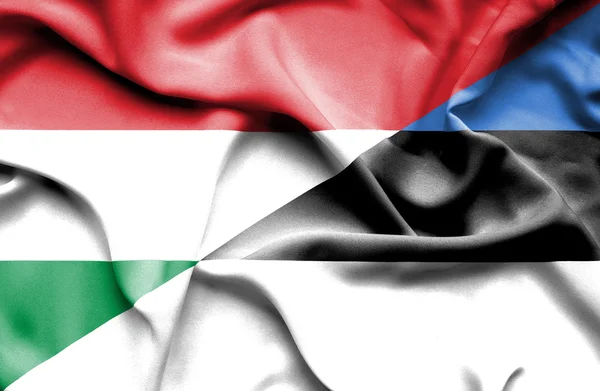 Waving flag of Estonia and Hungary — Stock Photo, Image