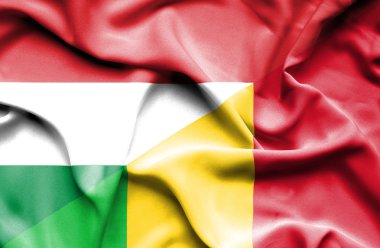 Mali ve Macaristan bayrağı sallayarak