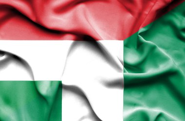 Nijerya ve Macaristan bayrağı sallayarak