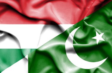 Pakistan ve Macaristan bayrağı sallayarak