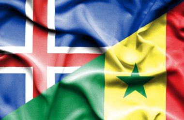 Senegal ve İzlanda bayrağı sallayarak