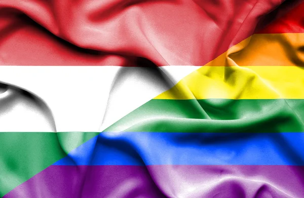 Ondeando la bandera de LGBT y Hungría — Foto de Stock