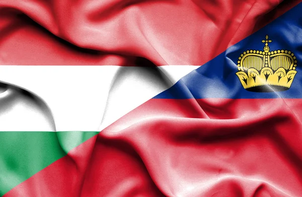 リヒテンシュタインとハンガリーの旗を振っています。 — ストック写真
