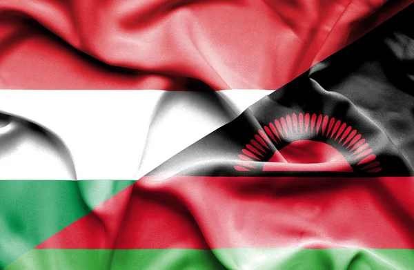 Wapperende vlag van Malawi en Hongarije — Stockfoto