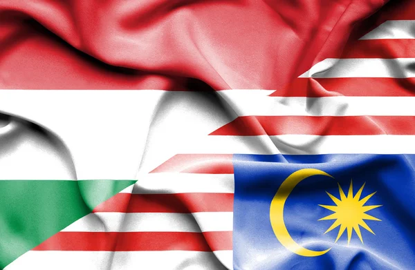 말레이시아와 헝가리의 깃발을 흔들며 — 스톡 사진