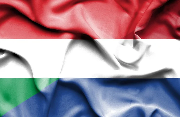 Waving flag of Netherlands and Hungary — Stock Photo, Image