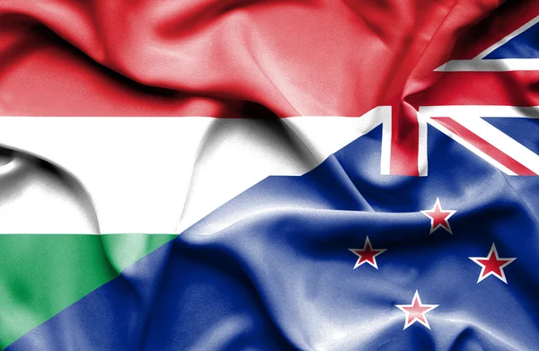 Κουνώντας τη σημαία της Νέας Ζηλανδίας και της Ουγγαρίας — Φωτογραφία Αρχείου