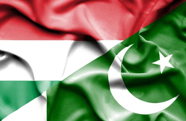 Waving flag of Pakistan and Hungary — Stock Photo, Image