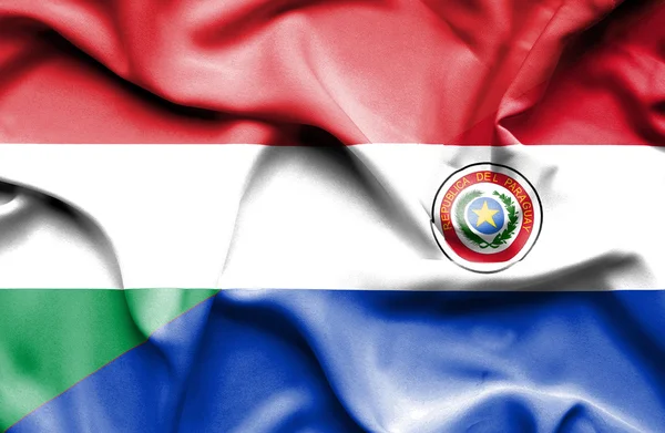 Flagge von Paraguay und Ungarn schwenkend — Stockfoto