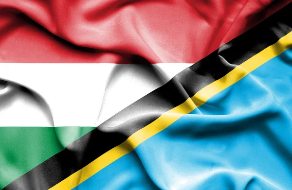 Tanzanya ve Macaristan bayrağı sallayarak — Stok fotoğraf