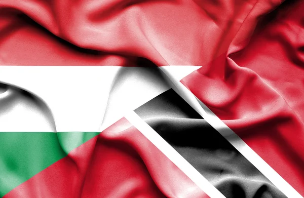 トリニダード ・ トバゴ共和国・ ハンガリーの旗を振っています。 — ストック写真