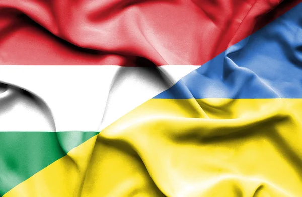 Ukrayna ve Macaristan bayrağı sallayarak — Stok fotoğraf