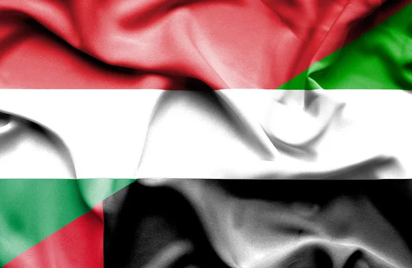 Waving flag of United Arab Emirates and Hungary — Stock Photo, Image