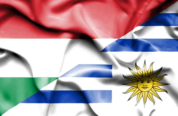 Flagge von Uruguay und Ungarn schwenkend — Stockfoto