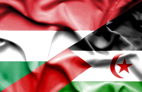 Mávání vlajkou Západní Sahary a Maďarsko — Stock fotografie