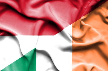 İrlanda ve Endonezya bayrağı sallayarak