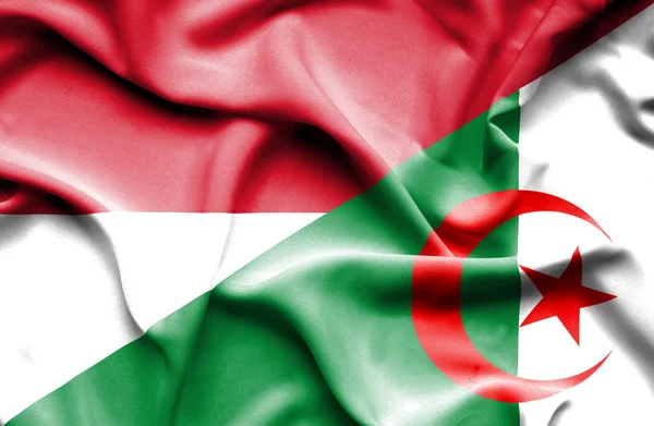 Waving flag of Algeria and Indonesia — Stock Photo, Image