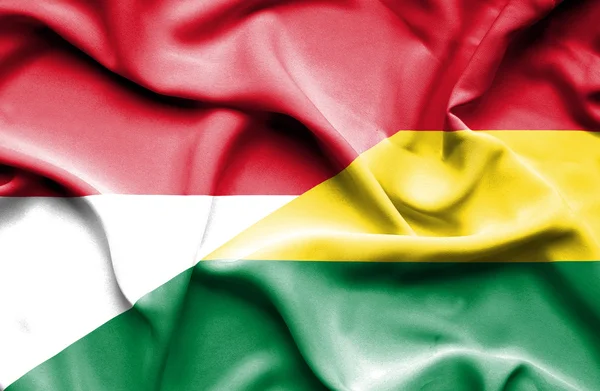 Machać flaga Boliwii i Indonezji — Zdjęcie stockowe