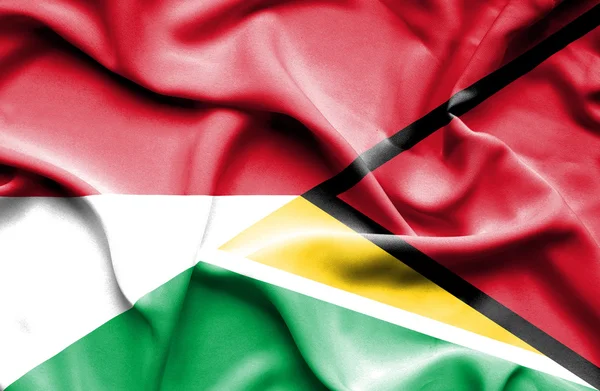 Bandera ondeante de Guyana e Indonesia — Foto de Stock