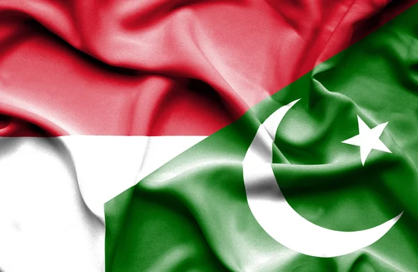 Waving flag of Pakistan and Indonesia — Stock Photo, Image