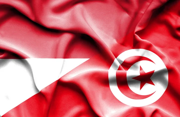 Machać Flaga Tunezji i Indonezji — Zdjęcie stockowe