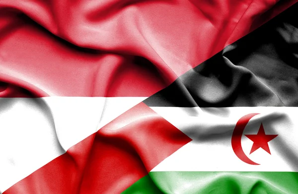 Mávání vlajkou Západní Sahary a Indonésie — Stock fotografie