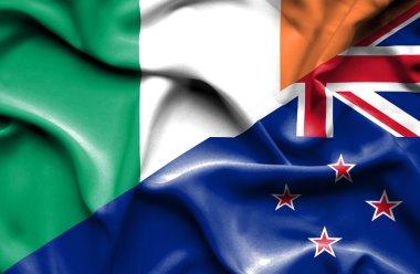 Yeni Zelanda ve İrlanda bayrağı sallayarak