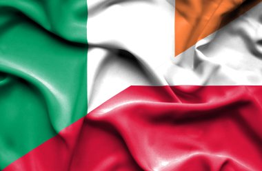 Polonya ve İrlanda bayrağı sallayarak