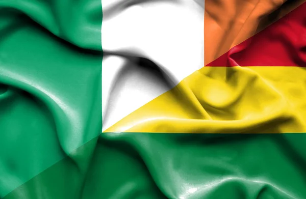 玻利维亚和爱尔兰那飘扬的旗帜 — 图库照片