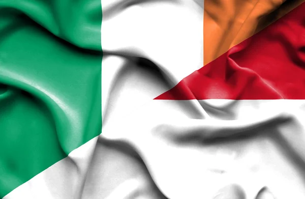 Endonezya ve İrlanda bayrağı sallayarak — Stok fotoğraf