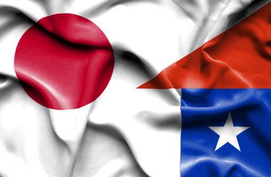 Şili ve Japonya bayrağı sallayarak