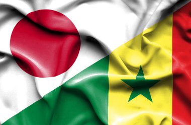 Senegal ve Japonya bayrağı sallayarak