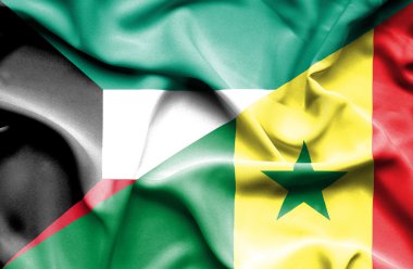 Senegal ve Kuveyt bayrağı sallayarak