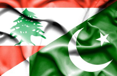 Pakistan ve Lübnan Bayrağı sallayarak
