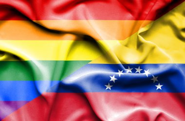 Venezuela ve Lgbt bayrağı sallayarak