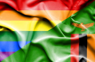 Zimbabve ve Lgbt bayrağı sallayarak