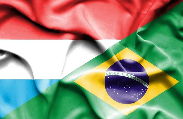 브라질, 룩셈부르크의 깃발을 흔들며 — 스톡 사진