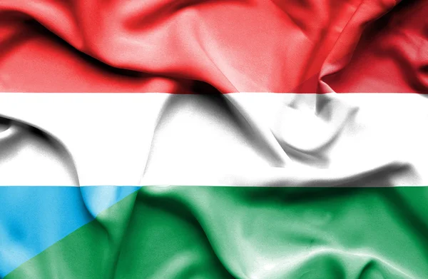 Bandiera sventolante di Ungheria e Lussemburgo — Foto Stock