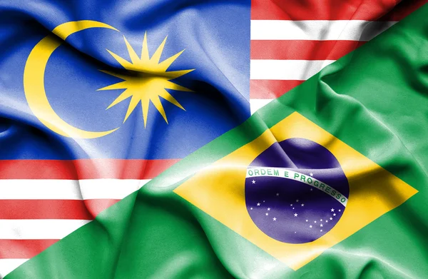 Κουνώντας τη σημαία της Βραζιλίας και της Μαλαισίας — Φωτογραφία Αρχείου