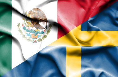 İsveç ve Meksika bayrağı sallayarak