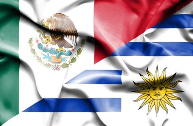Uruguay ve Meksika bayrağı sallayarak