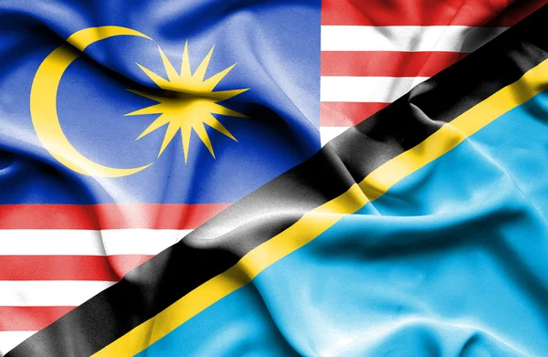 탄자니아와 말레이시아의 국기를 흔들며 — 스톡 사진