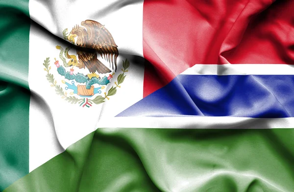 Waving flag of Gambia and Mexico — Stock Photo, Image