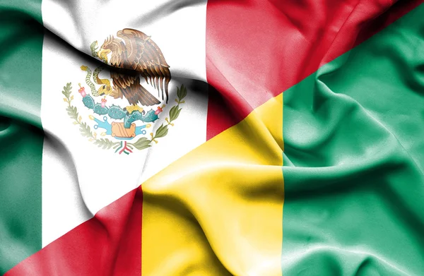 Bandera ondeante de Guinea y México —  Fotos de Stock