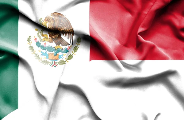 Waving flag of Monaco and Mexico — Stock Photo, Image