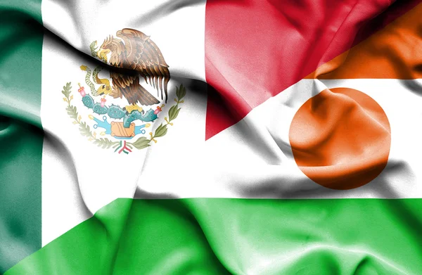 Waving flag of Niger and Mexico — Stock Photo, Image