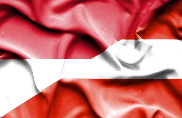 Flagge Österreichs und Monacos schwenkend — Stockfoto
